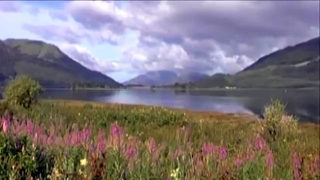 Cмачний світ: вівсянка смотреть онлайн