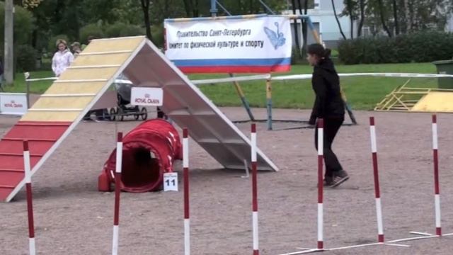Кубок СПб по аджилити, 15.09.12г, Планета друзей v56 смотреть онлайн