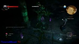 Прохождение Ведьмак 3, На Ощупь, Найти Что Нибудь Связанное С Кэльпи Лошадью Цири,Убить Стража