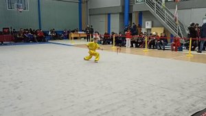 8 выступлений УШУ дети