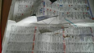 фоторезист блок питания 12 вольт