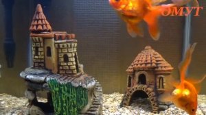 121.Укрепляем память...И Ваши Комменты - ДРУЗЬЯ!!!