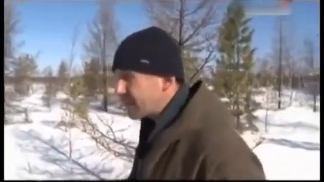 Таежный друг промысловика. Собака тайги. Промысловая охота.