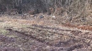 КОРЕЯ. СТРОИМ ДОМ. НАЧАЛО