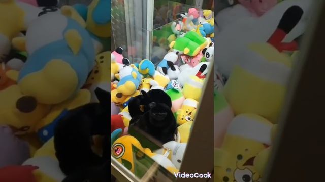 ВЫТАЩИЛИ ВСЕ ИГРУШКИ ИЗ АВТОМАТА ХВАТАЙКА!!! ТАКОГО ЕЩЕ НИКОГДА НЕБЫЛО ???????????????????????????? смотреть онлайн