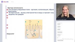 Разбор возбудителя холеры | Холерный вибрион  | Микробиология