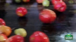 Южная Соковая Компания