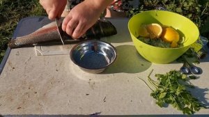 рыба на мангале, блюдо на костре, готовим красную рыбу