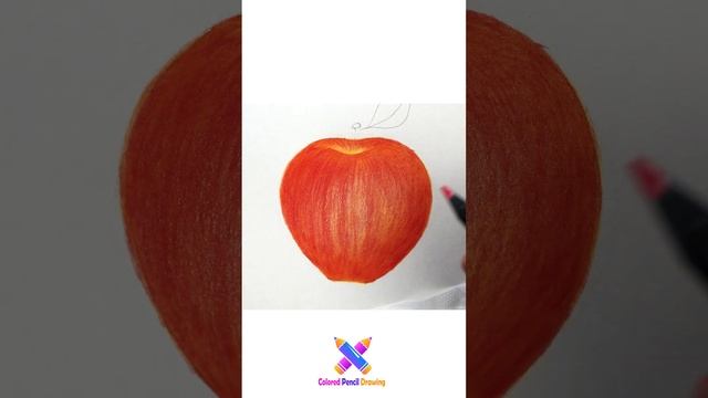 រៀនគូររូបផ្លែប៉ម-How drawing Cameo Apple with colored pencil? #drawing  #howtodraw #painting #art