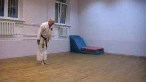 пинан годан сито рю карате до кофукан