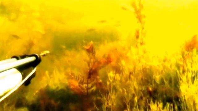 Подводная рыбалка в Карелии смотреть онлайн