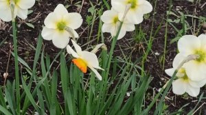 29 мая народный праздник Федоров день. Народные приметы и традиции. Запреты дня.