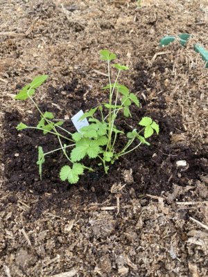 Посадки на 25 апреля. Архив 2024