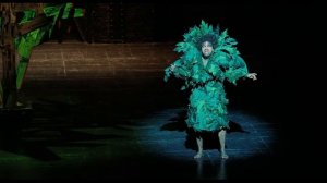 1+1 / Неприкасаемые - Фрагмент в опере