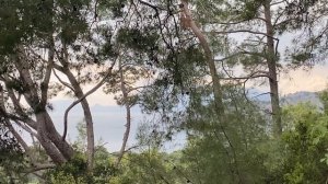 Ликийская тропа от Текирова до Кемера: 14 км за 5:40. Развалины древнего города Фаселис.