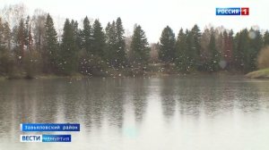 В Удмуртии выясняют причину массовой гибели рыбы в Чемошурском пруду