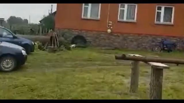 Свадьба 22 08 Константина и Влады на природе!