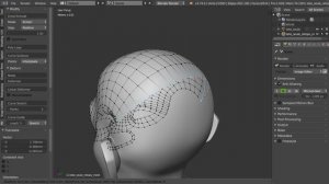 Retopo Bsurface Mira Tools etc