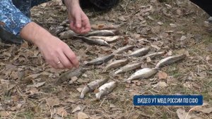 В Хакасии в отношении подозреваемых в браконьерстве возбуждены уголовные дела.mp4