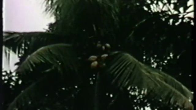Джакарта в 1965 году - Jakarta In 1965