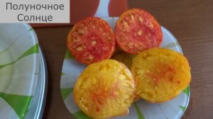 Обзор томатов: Полуночное Солнце, Золотой Ананас, Красный Гребешок...