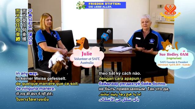 Shining World Compassion Award Recipient: Saving Animals From Euthanasia 光耀世界愛心獎得主：拯救動物免遭安樂死 смотреть онлайн