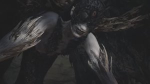 Resident Evil Biohazard Village Shadows of Rose,запись 3