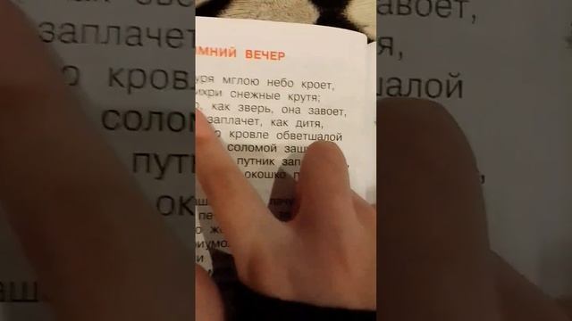 Буря мглою небо кроет... вихри снежные крутя.. то как зверь она завоет.. то заплачет как дитяяя