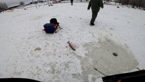 Ловля форели зимой на платнике Юсупово