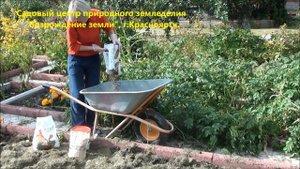 Как подготовить почву к будущим посадкам осенью и весной?