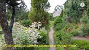 01 Сибирская академия деревьев и кустарников
