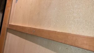 23.01.22 вск Стену между туалетом и ванной трудно назвать стеной.