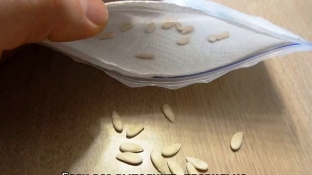 Огурцы в пластиковых пятилитровых бутылках: выращивание смотреть онлайн