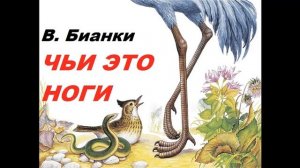 ЧЬИ ЭТО НОГИ  В Бианки