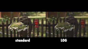 The Canon C100 in 25 Minutes!