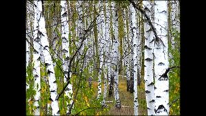 Среди долины ровныя