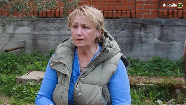Охотничье собаководство - Как появился и развивается Клуб "Петербургский Борзой"? - Все о Борзых