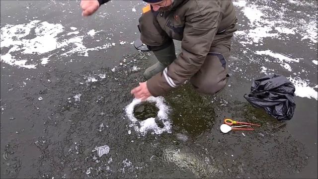 Клевое место д. Савельево. Обзор поимок форели второй сектор. смотреть онлайн