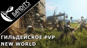 Осада форта и гильдейское PvP в New World