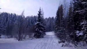 Природа Сибири. Русский Север. Ханты-Мансийск