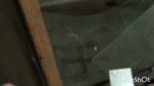 Интересные находки на территории пансионата Страна Души.Абхазия.