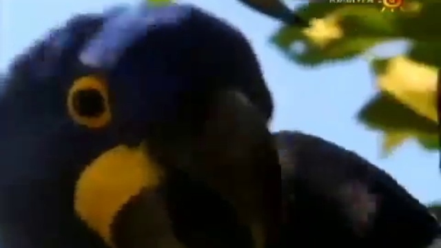 Занятие №12 - Творчество. Декорирование