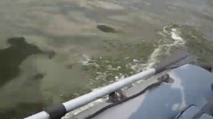 флинк 290 с надувным килем + мерк 3.3