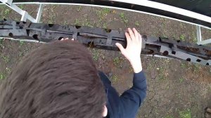 Наглядно о рассаде Фриго. Рассада (саженцы) клубники из Голландии, подготовка к выращиванию рассады