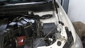 Как работают газовые упоры фенокс