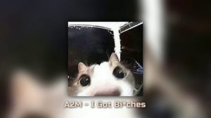 I Got Bitches - A2M  speed up