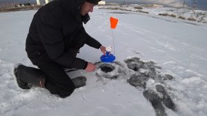 РЫБАЛКА НА МУРИНСКИХ ПРУДАХ С ЖЕРЛИЦАМИ ПО ПЕРВОМУ ЛЬДУ НА ВЕЧЕРКЕ РЯДОМ С ДОМОМ! РЫБАЛКА НА УРАЛЕ!