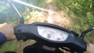 Honda Dio 35 ZX - по лесу 50 км/час POV