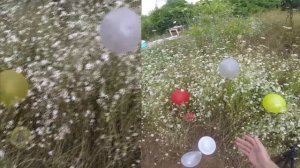 КАК ДАЛЬТОНИКИ ВИДЯТ МИР
