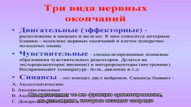 Ушной козелок: строение и функции смотреть онлайн